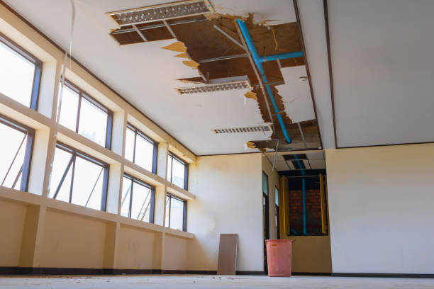 Best Emergency water damage restoration  in Lake Winnebago, MO