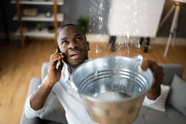  Lake Winnebago, MO Water damage restoration Pros
