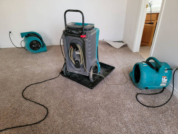 Best Professional water damage repair  in Lake Winnebago, MO