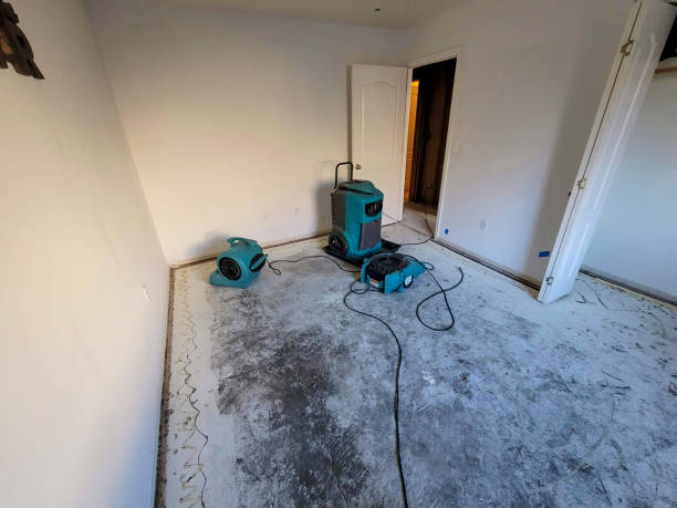 Best Sewage cleanup and water damage restoration  in Lake Winnebago, MO