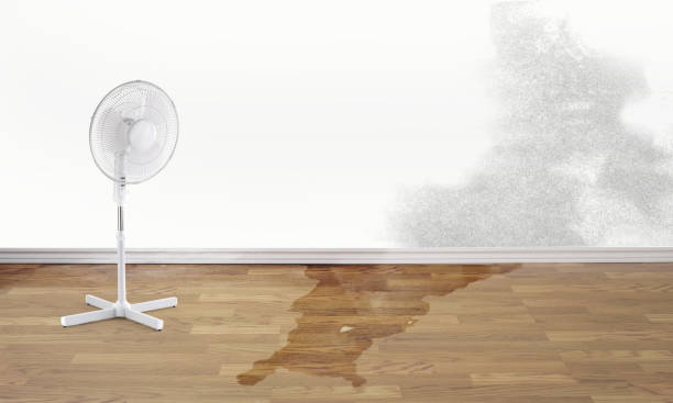 Sewage cleanup and water damage restoration in Lake Winnebago, MO