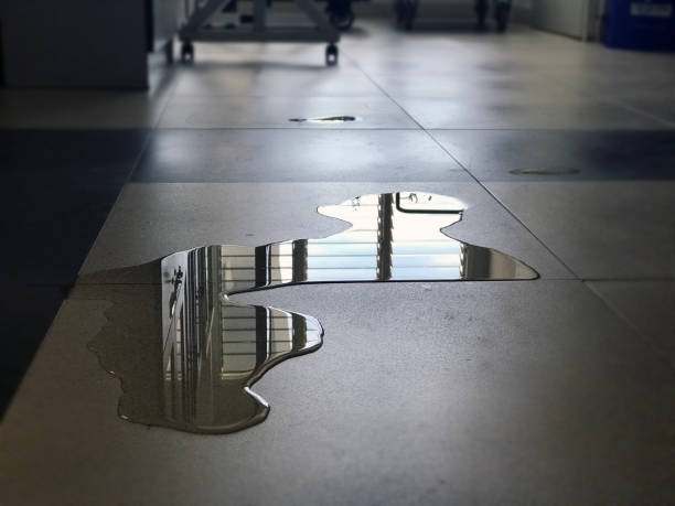Best Water damage restoration near me  in Lake Winnebago, MO