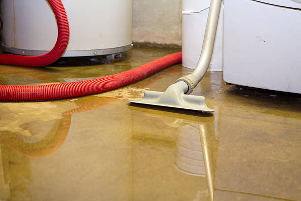 Best 24/7 water damage repair  in Lake Winnebago, MO