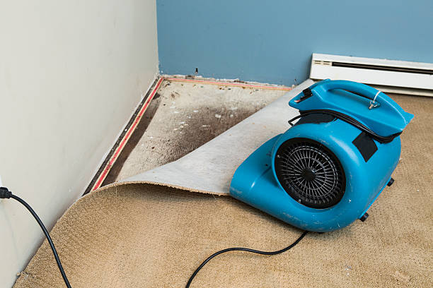 Best 24-hour water damage restoration  in Lake Winnebago, MO